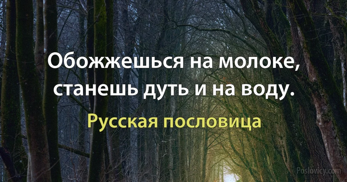 Обожжешься на молоке, станешь дуть и на воду. (Русская пословица)