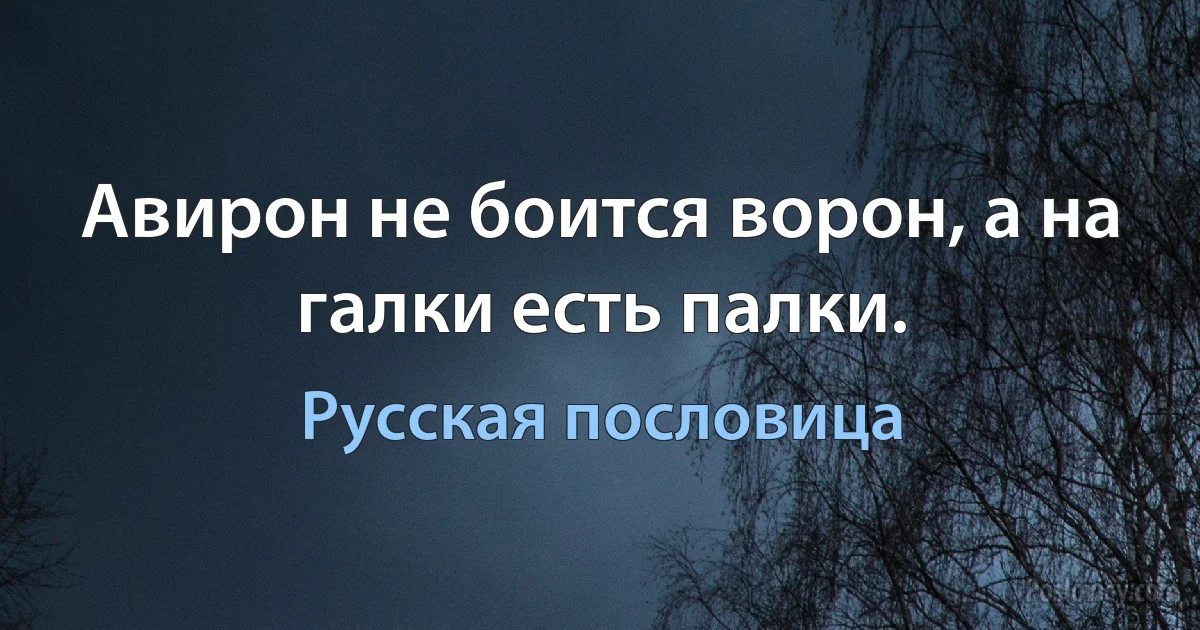 Авирон не боится ворон, а на галки есть палки. (Русская пословица)