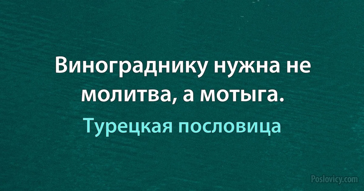 Винограднику нужна не молитва, а мотыга. (Турецкая пословица)