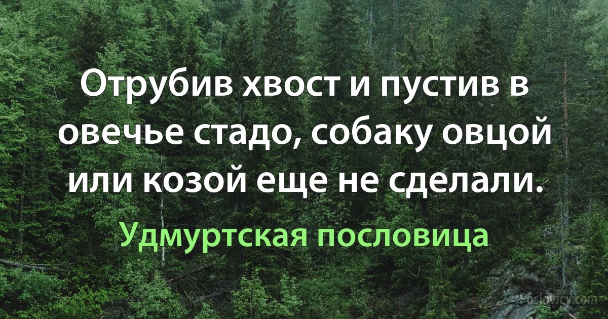 Отрубив хвост и пустив в овечье стадо, собаку овцой или козой еще не сделали. (Удмуртская пословица)