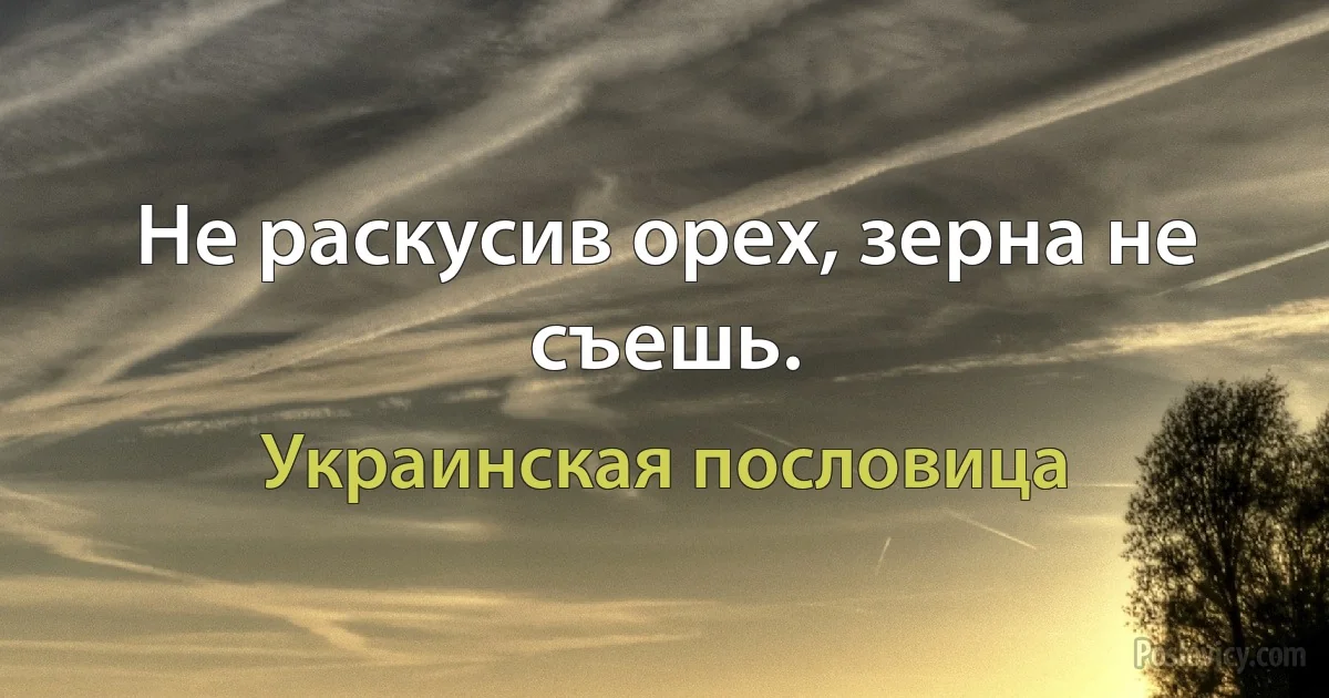 Не раскусив орех, зерна не съешь. (Украинская пословица)