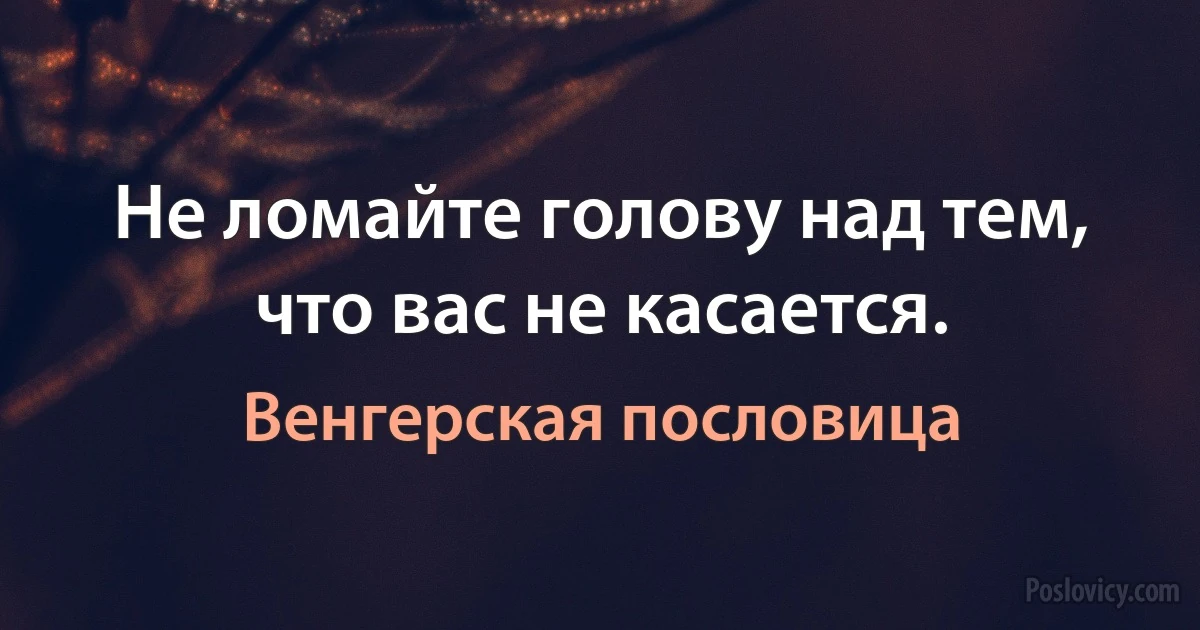 Не ломайте голову над тем, что вас не касается. (Венгерская пословица)