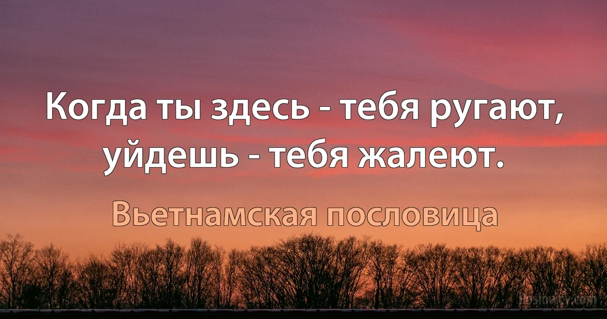 Когда ты здесь - тебя ругают, уйдешь - тебя жалеют. (Вьетнамская пословица)