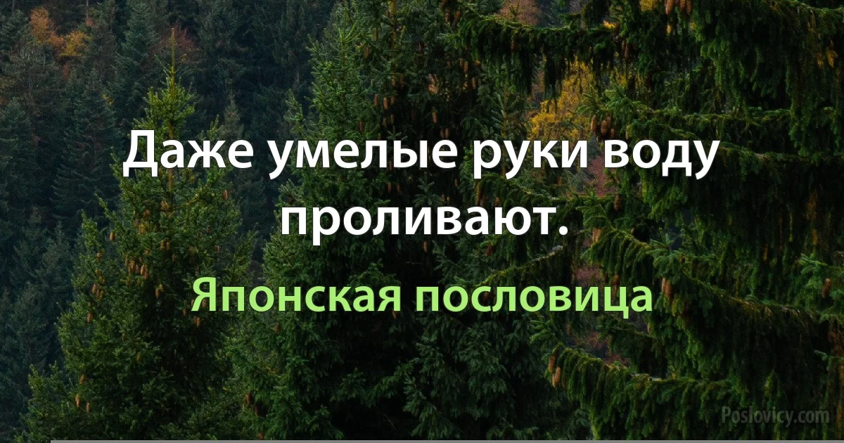 Даже умелые руки воду проливают. (Японская пословица)