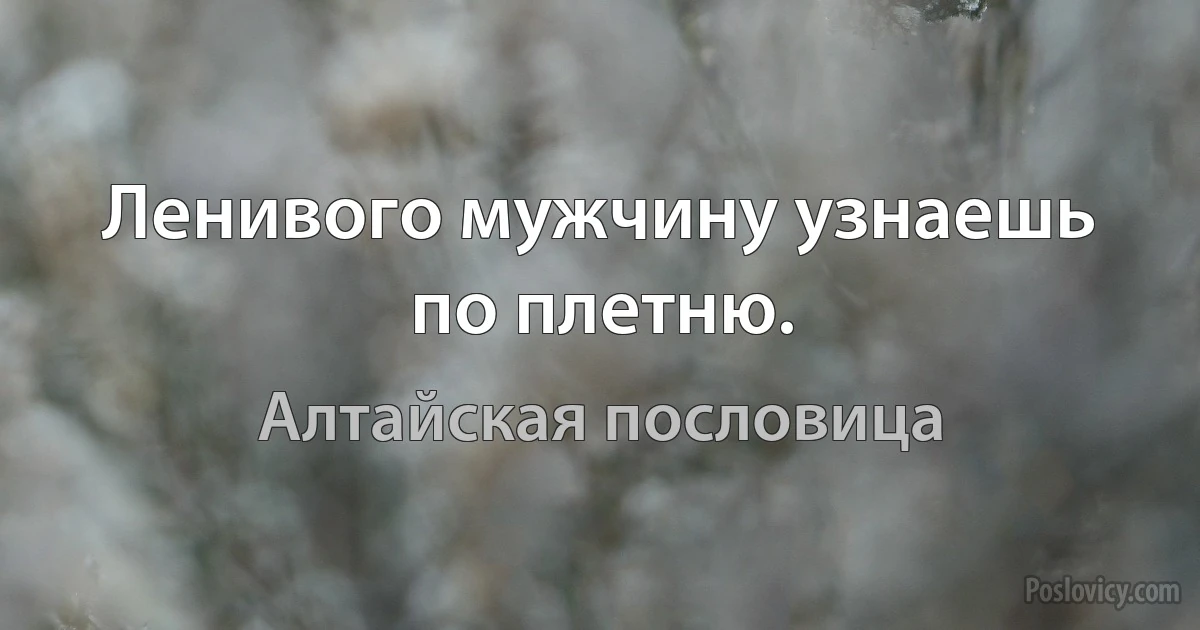 Ленивого мужчину узнаешь по плетню. (Алтайская пословица)