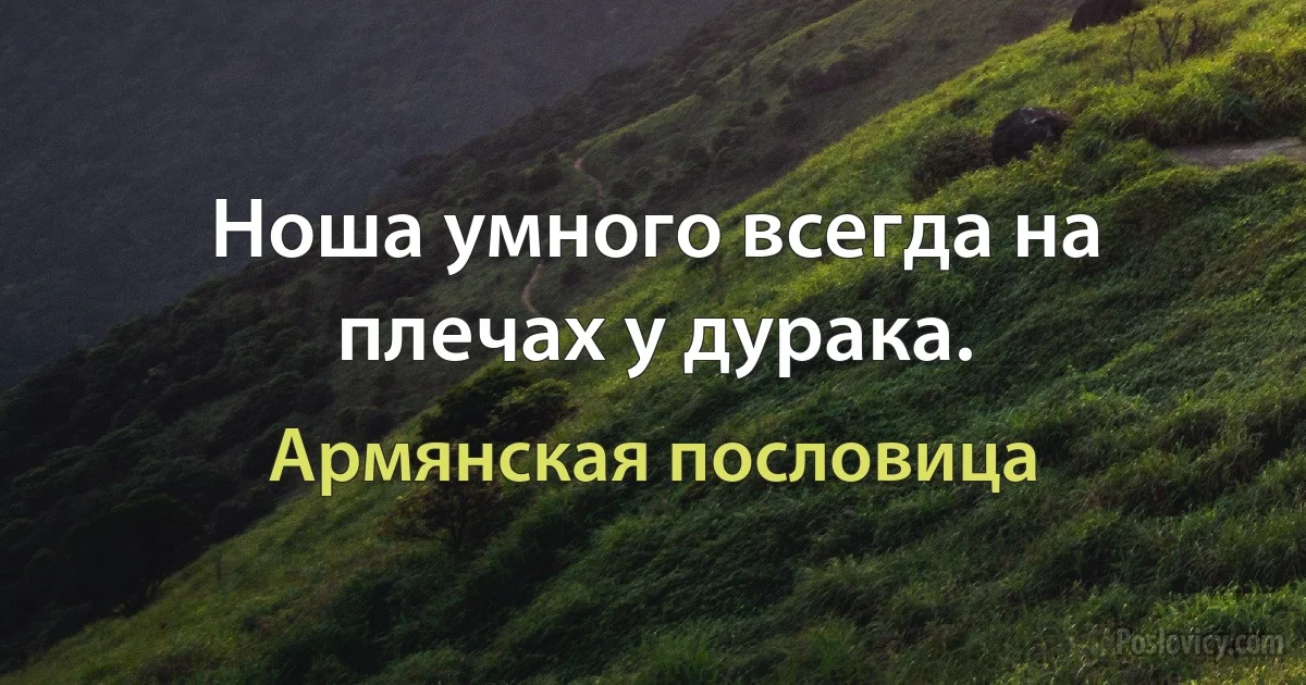 Ноша умного всегда на плечах у дурака. (Армянская пословица)