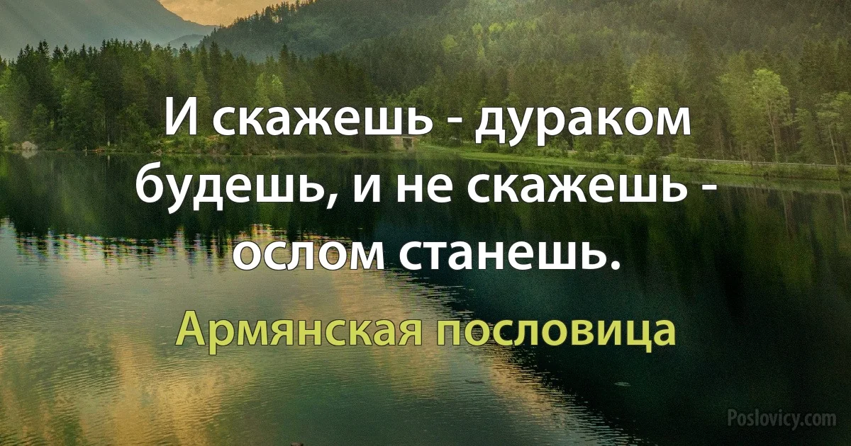 И скажешь - дураком будешь, и не скажешь - ослом станешь. (Армянская пословица)