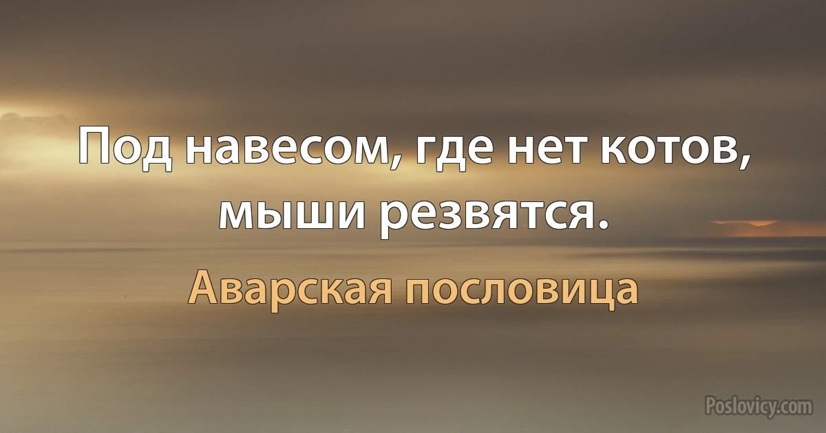 Под навесом, где нет котов, мыши резвятся. (Аварская пословица)