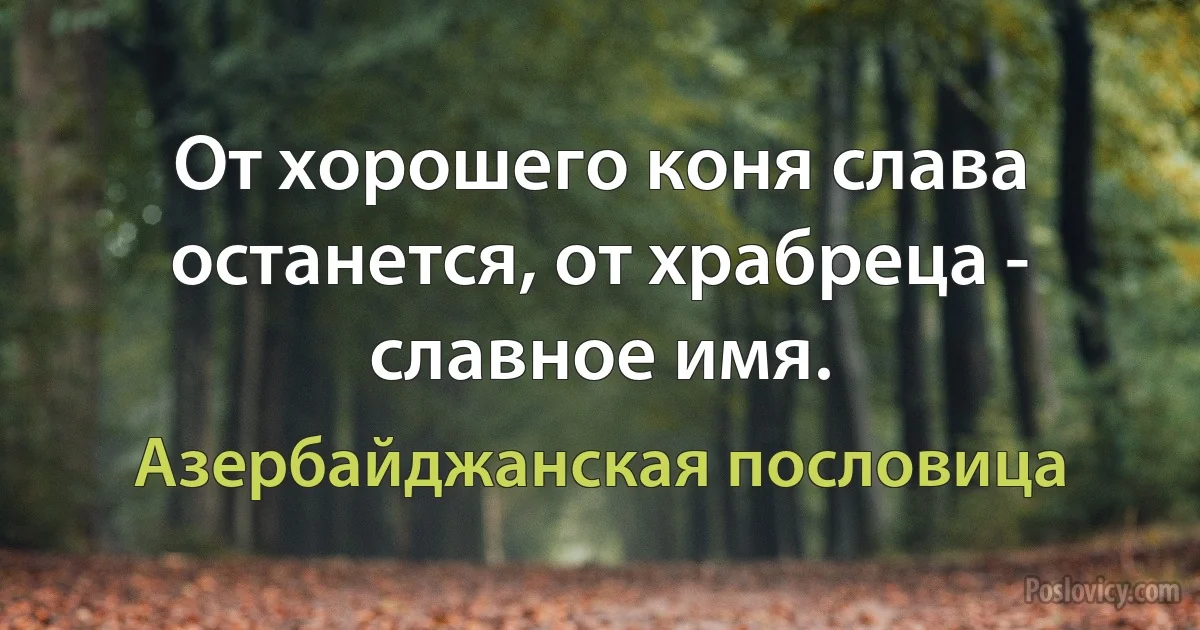 От хорошего коня слава останется, от храбреца - славное имя. (Азербайджанская пословица)