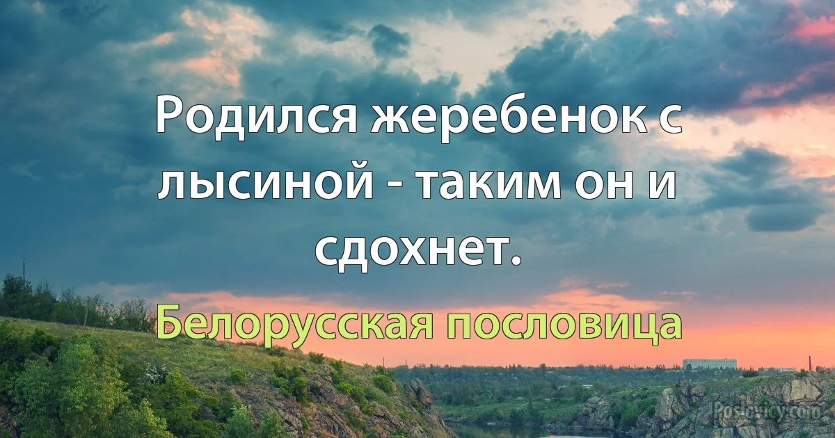 Родился жеребенок с лысиной - таким он и сдохнет. (Белорусская пословица)