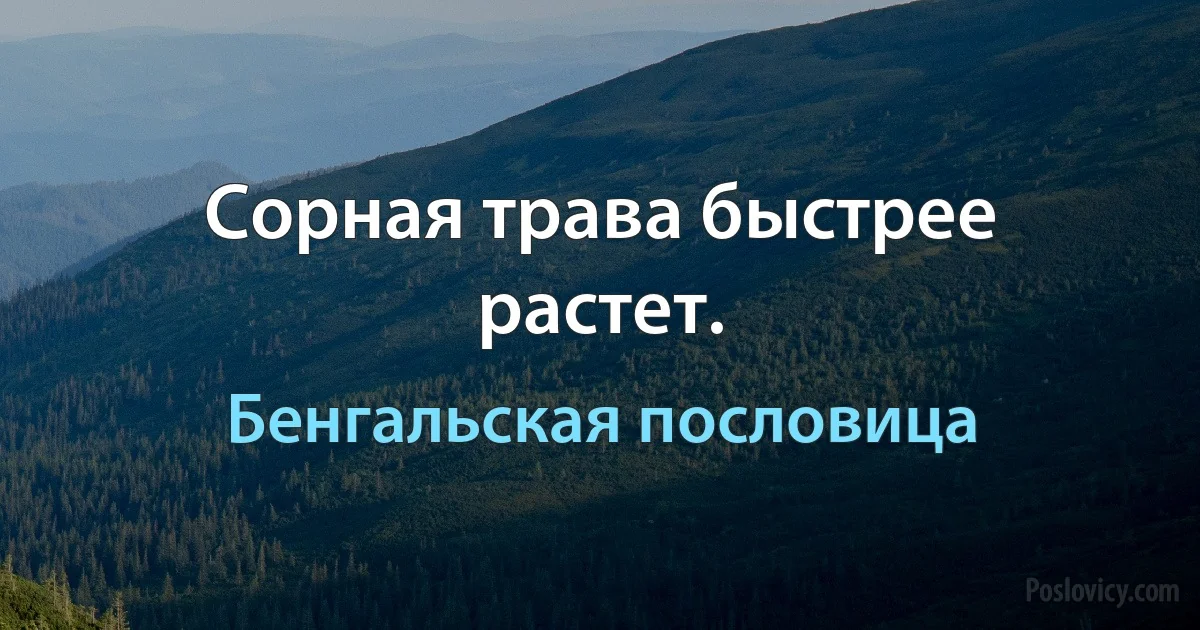 Сорная трава быстрее растет. (Бенгальская пословица)