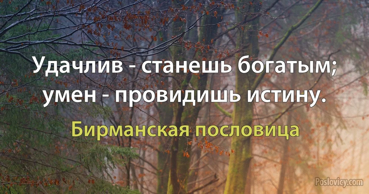 Удачлив - станешь богатым; умен - провидишь истину. (Бирманская пословица)