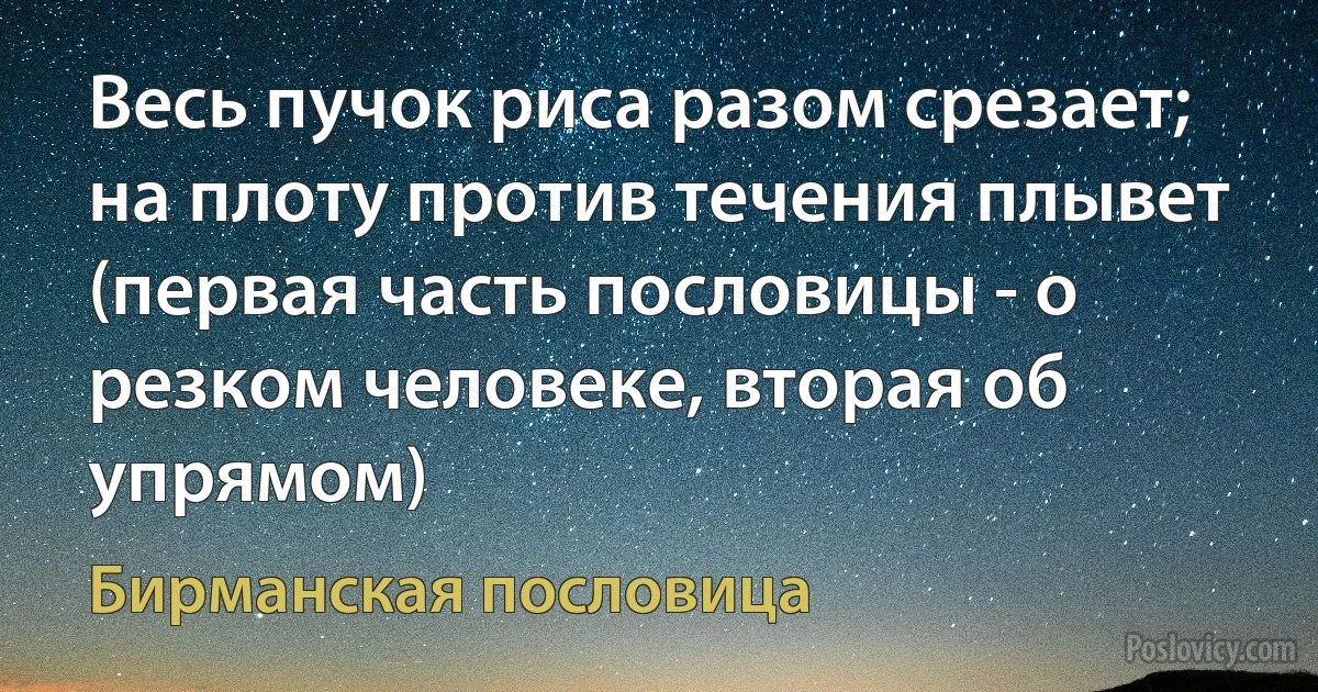 Весь пучок риса разом срезает; на плоту против течения плывет (первая часть пословицы - о резком человеке, вторая об упрямом) (Бирманская пословица)