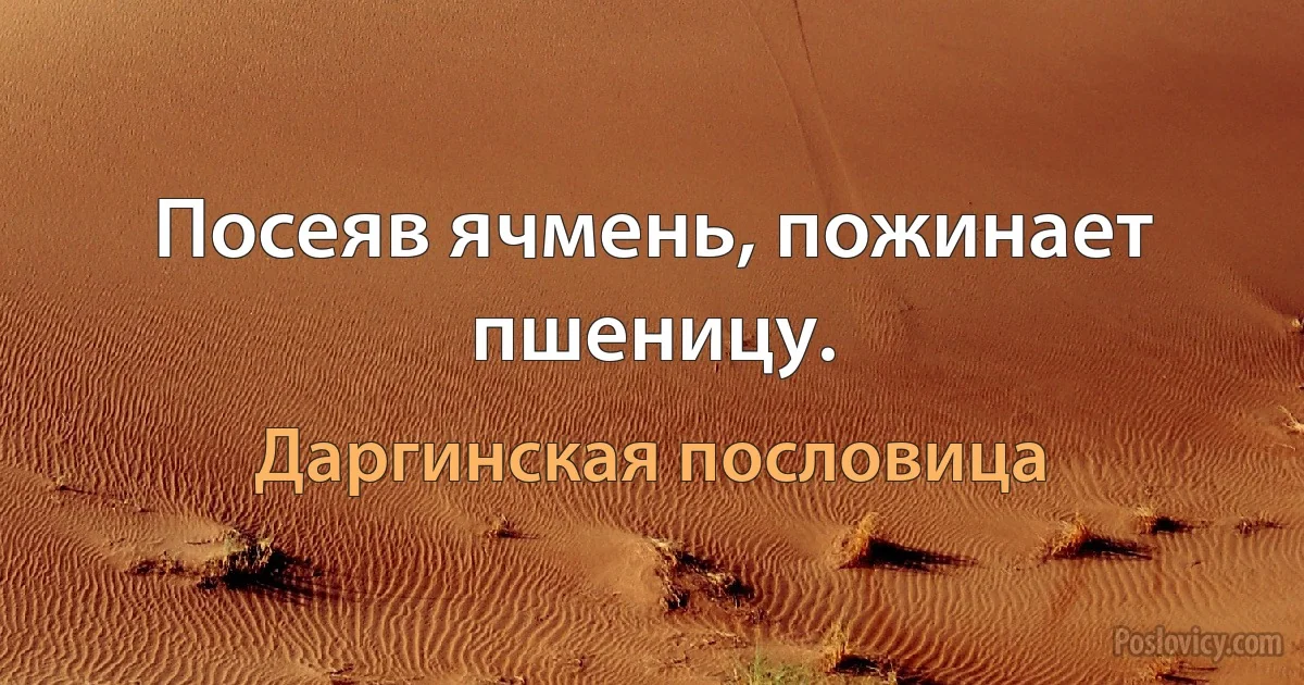 Посеяв ячмень, пожинает пшеницу. (Даргинская пословица)