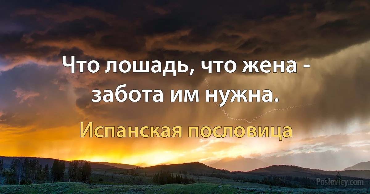 Что лошадь, что жена - забота им нужна. (Испанская пословица)