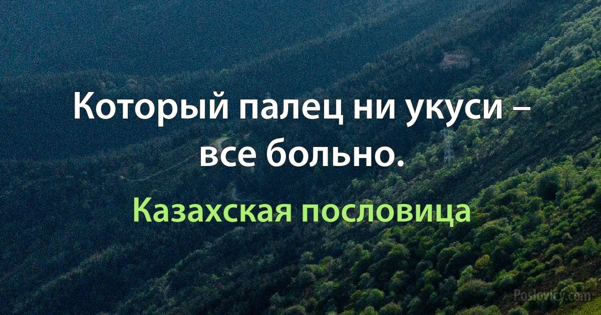 Который палец ни укуси – все больно. (Казахская пословица)