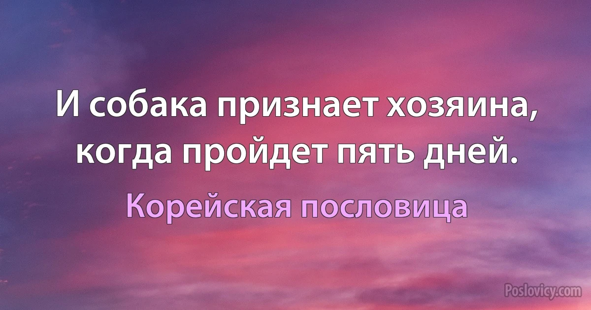 И собака признает хозяина, когда пройдет пять дней. (Корейская пословица)