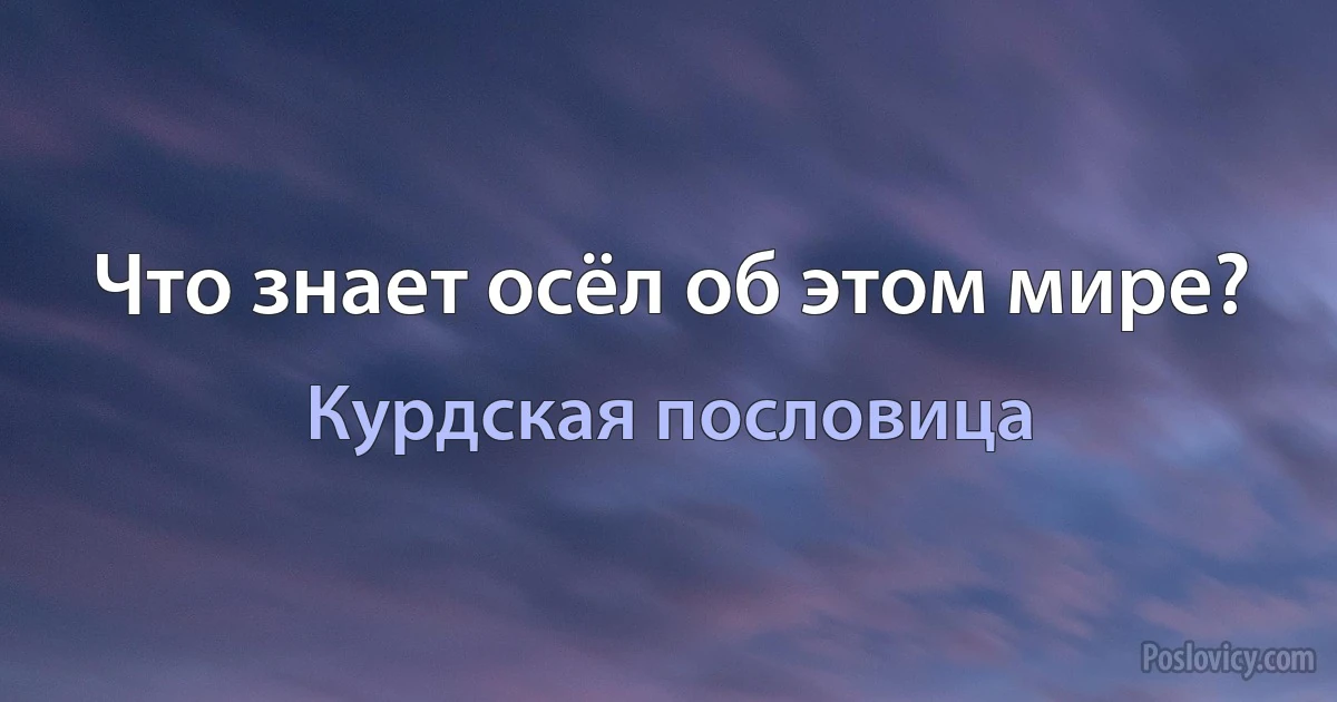 Что знает осёл об этом мире? (Курдская пословица)