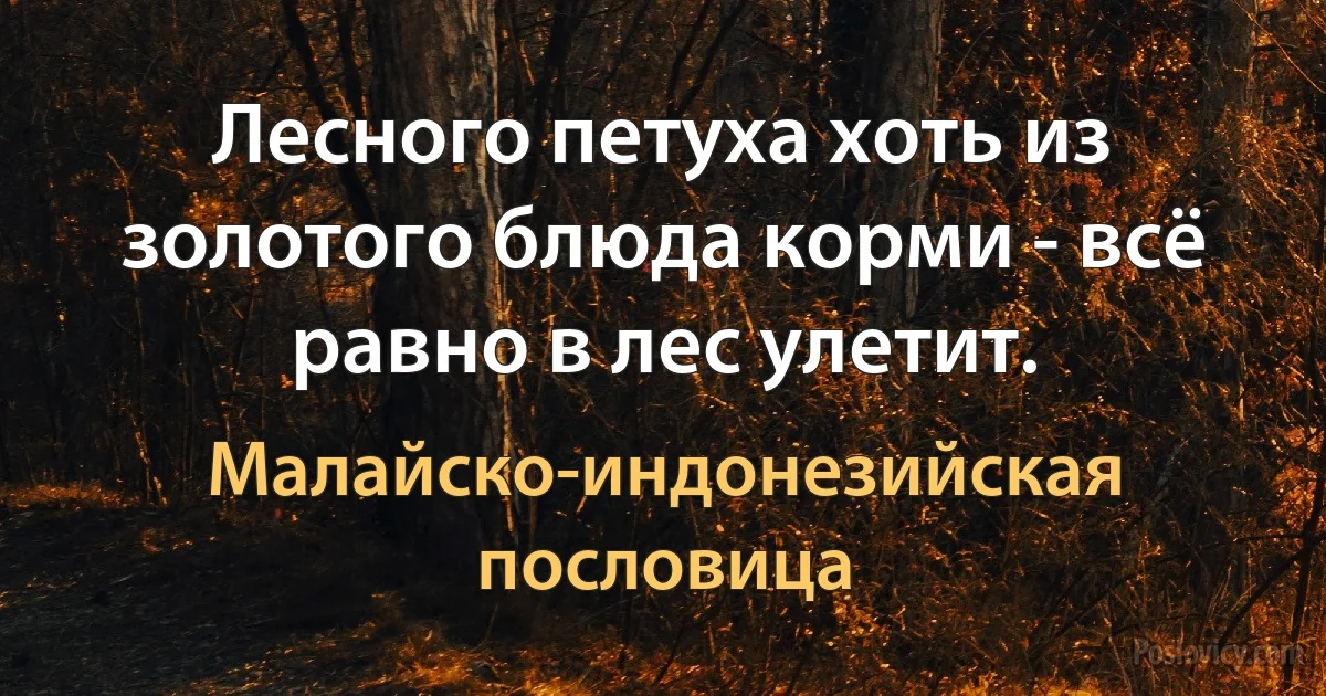 Лесного петуха хоть из золотого блюда корми - всё равно в лес улетит. (Малайско-индонезийская пословица)