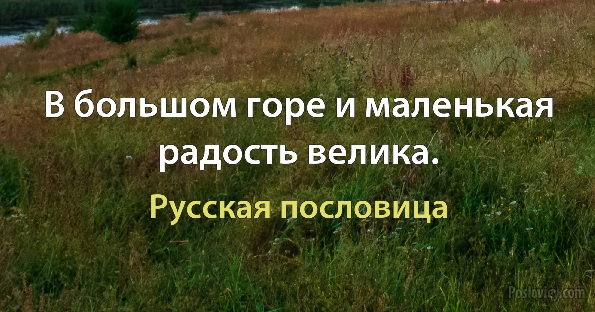 В большом горе и маленькая радость велика. (Русская пословица)