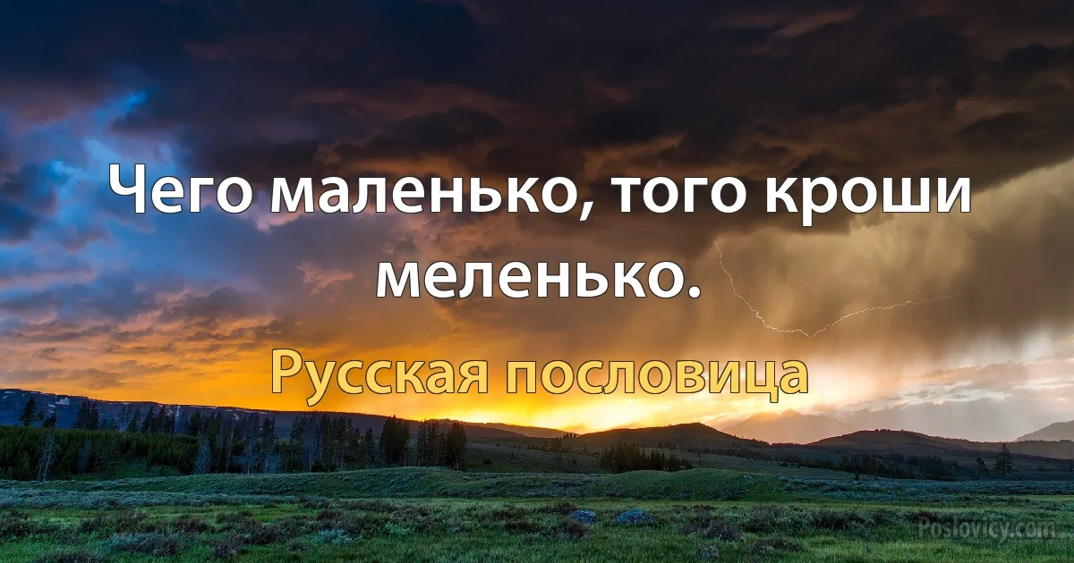 Чего маленько, того кроши меленько. (Русская пословица)