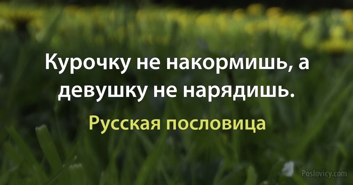 Курочку не накормишь, а девушку не нарядишь. (Русская пословица)