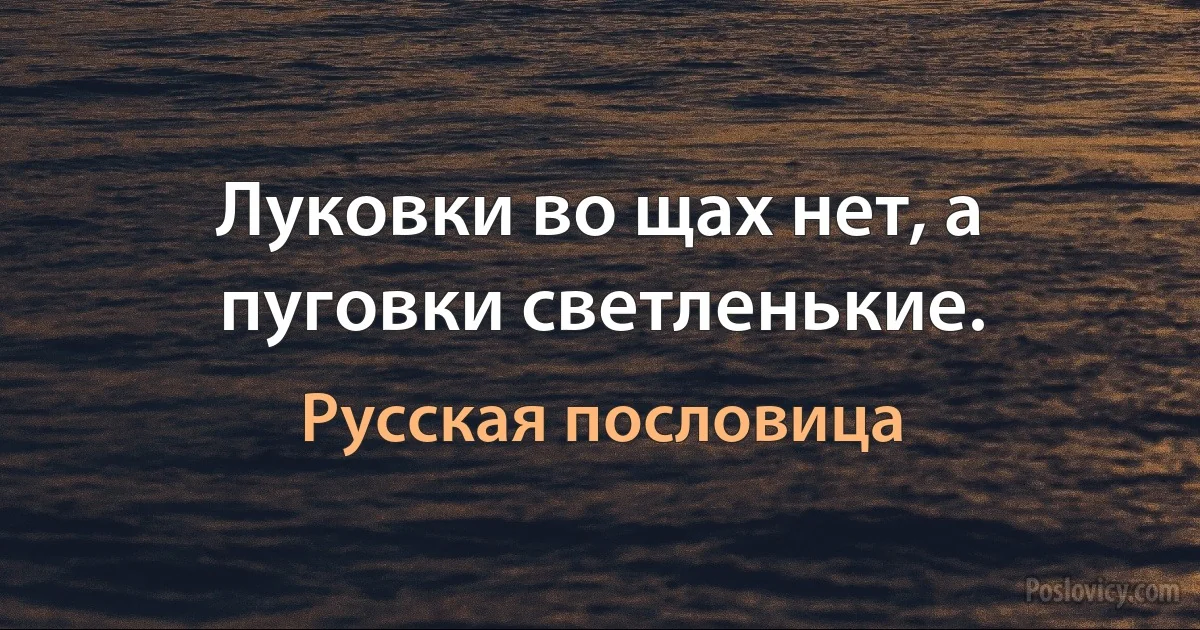 Луковки во щах нет, а пуговки светленькие. (Русская пословица)