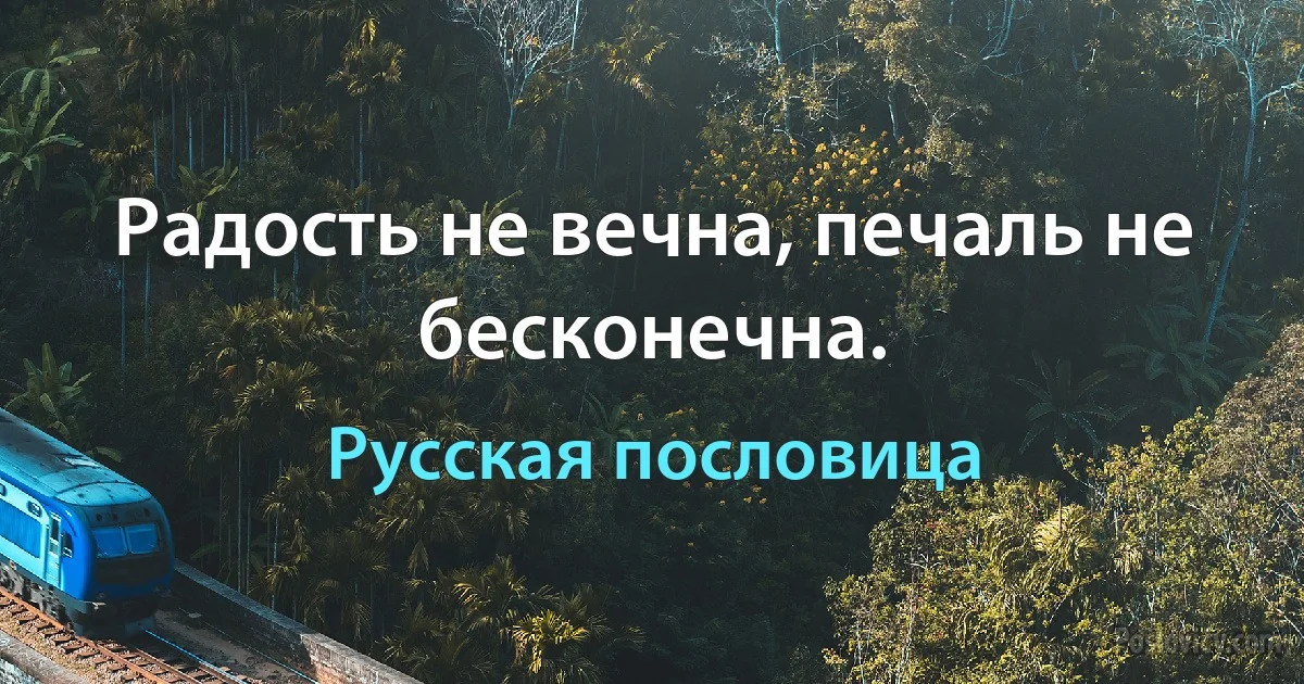 Радость не вечна, печаль не бесконечна. (Русская пословица)