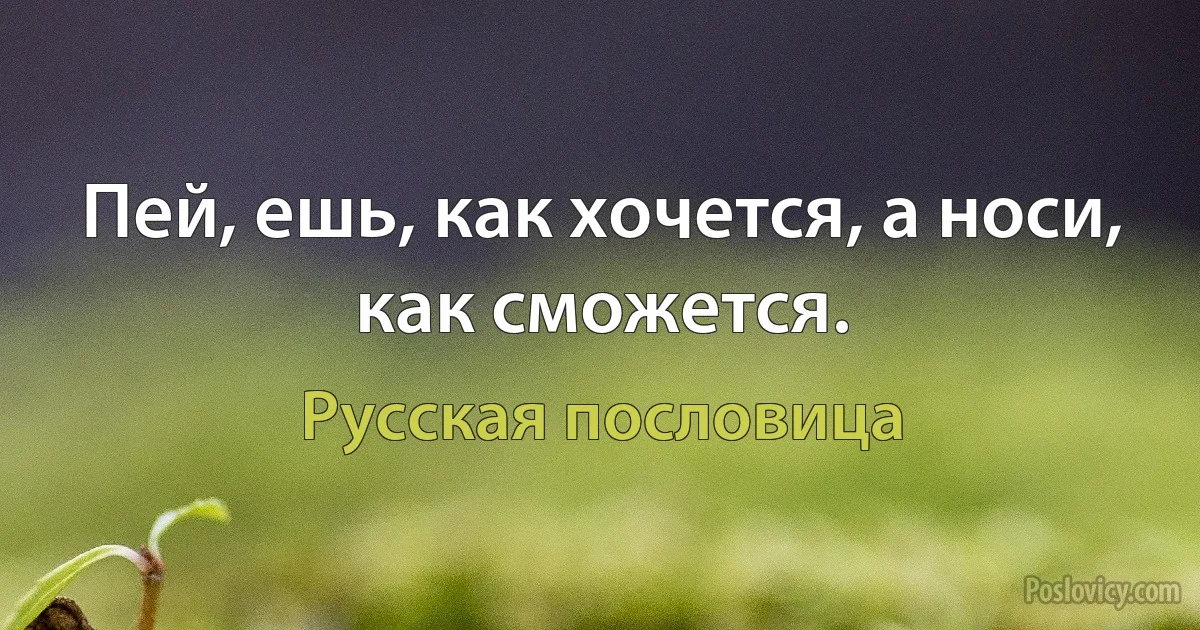 Пей, ешь, как хочется, а носи, как сможется. (Русская пословица)