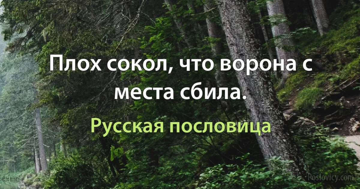 Плох сокол, что ворона с места сбила. (Русская пословица)