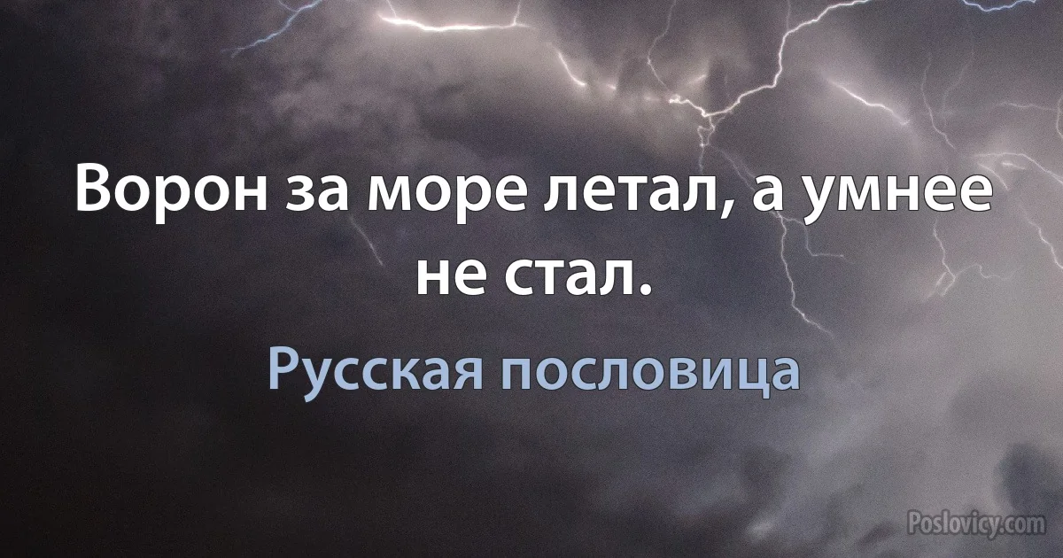 Ворон за море летал, а умнее не стал. (Русская пословица)