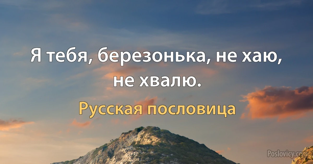 Я тебя, березонька, не хаю, не хвалю. (Русская пословица)