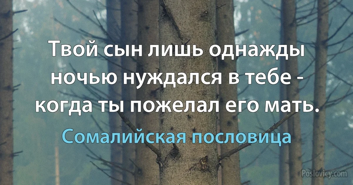 Твой сын лишь однажды ночью нуждался в тебе - когда ты пожелал его мать. (Сомалийская пословица)