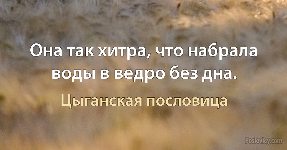 Она так хитра, что набрала воды в ведро без дна. (Цыганская пословица)