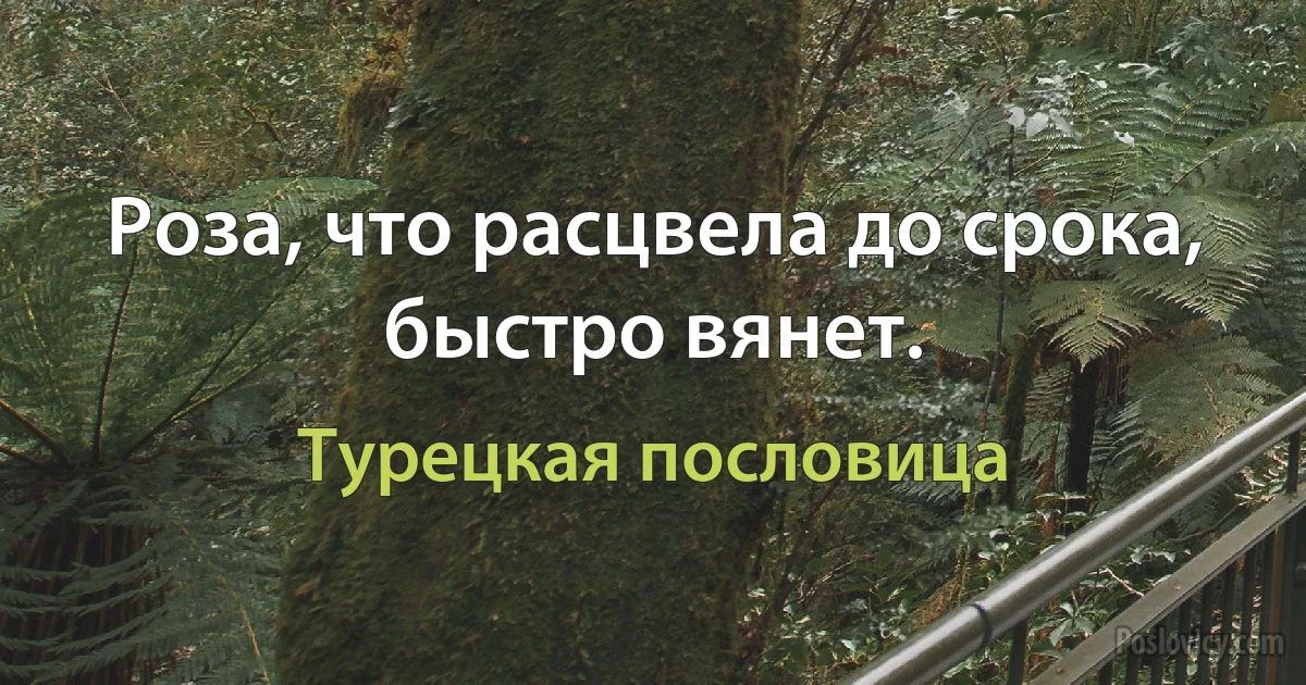 Роза, что расцвела до срока, быстро вянет. (Турецкая пословица)