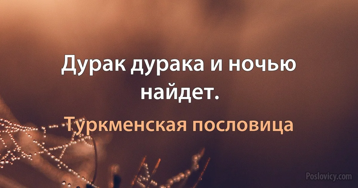 Дурак дурака и ночью найдет. (Туркменская пословица)