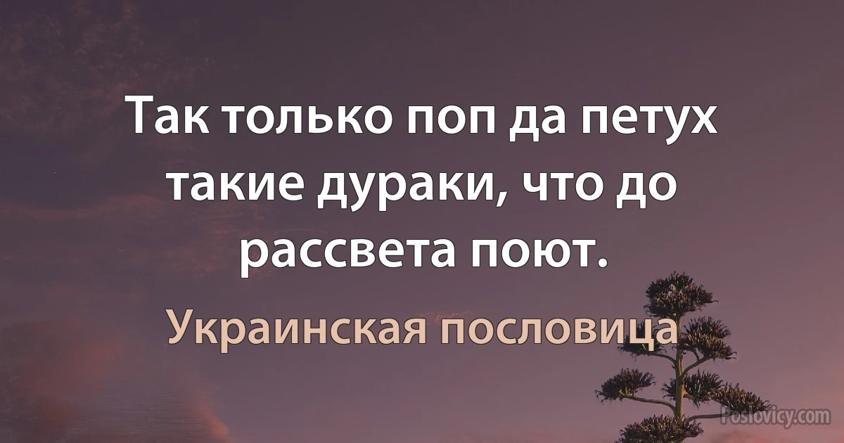 Так только поп да петух такие дураки, что до рассвета поют. (Украинская пословица)