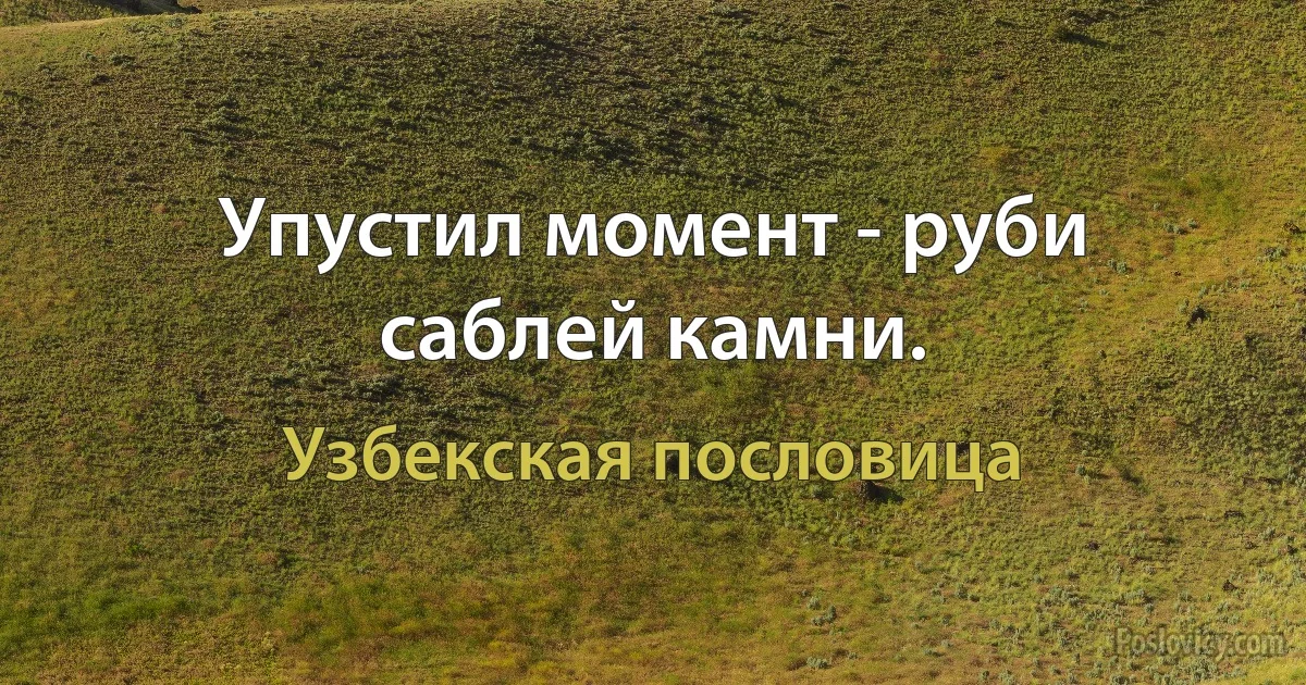 Упустил момент - руби саблей камни. (Узбекская пословица)