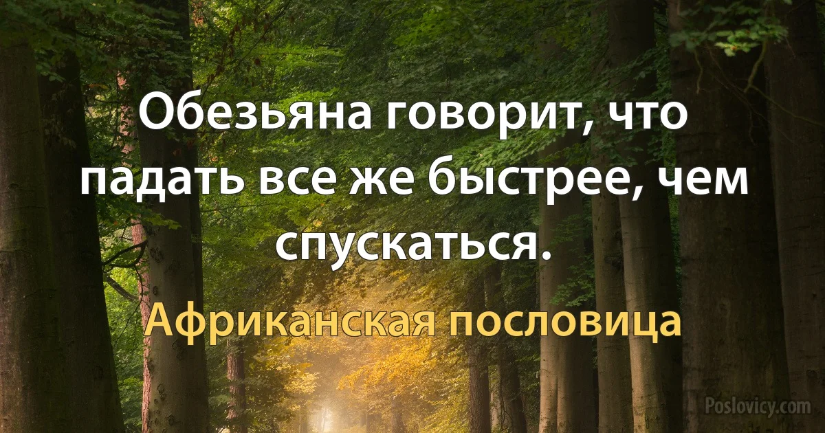 Обезьяна говорит, что падать все же быстрее, чем спускаться. (Африканская пословица)