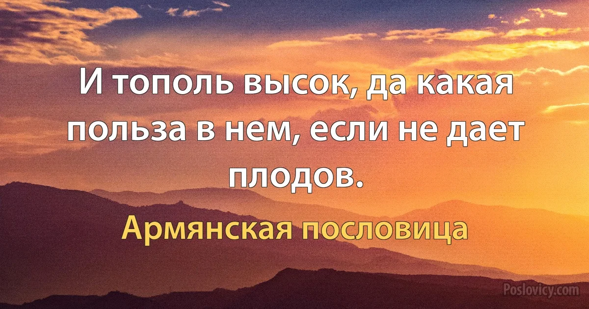 И тополь высок, да какая польза в нем, если не дает плодов. (Армянская пословица)