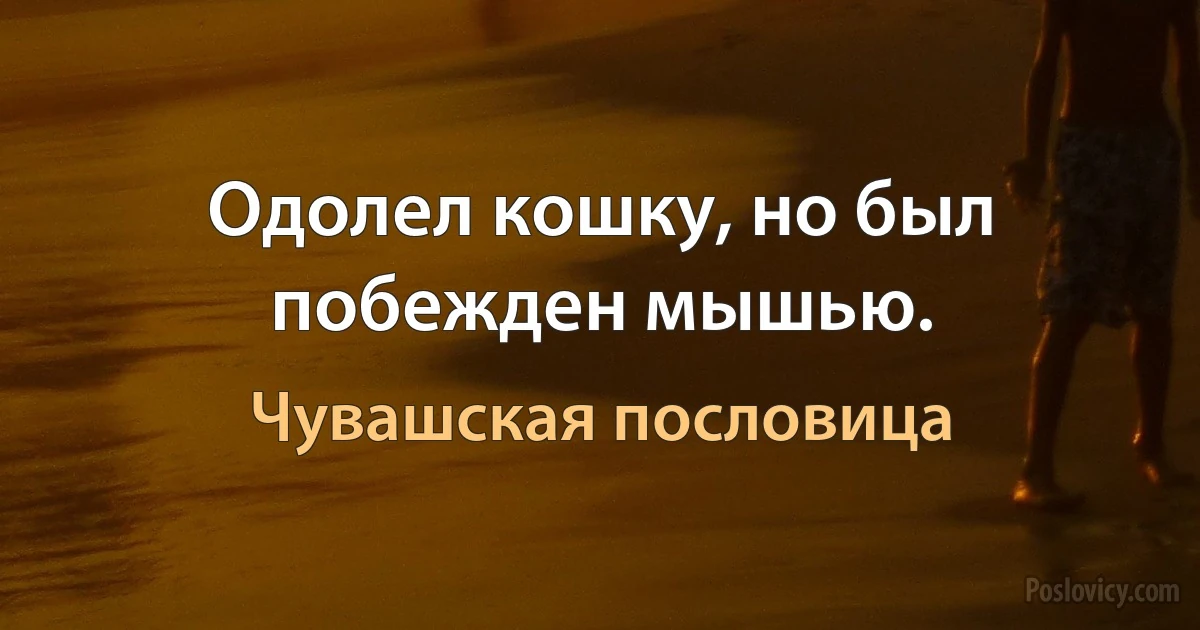 Одолел кошку, но был побежден мышью. (Чувашская пословица)