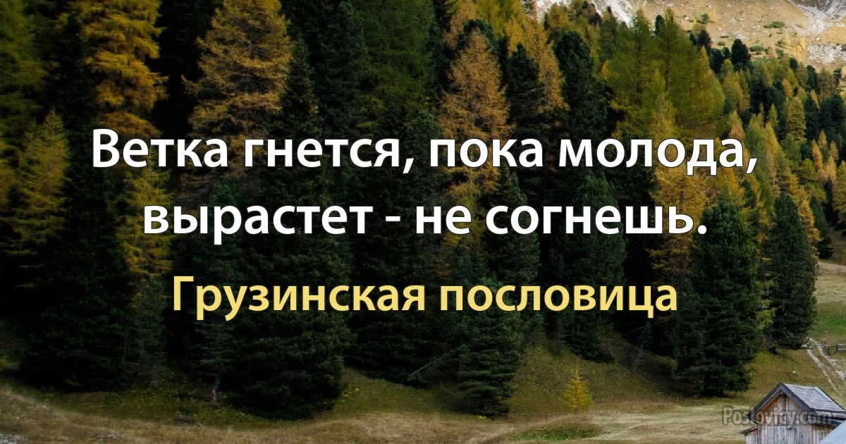 Ветка гнется, пока молода, вырастет - не согнешь. (Грузинская пословица)