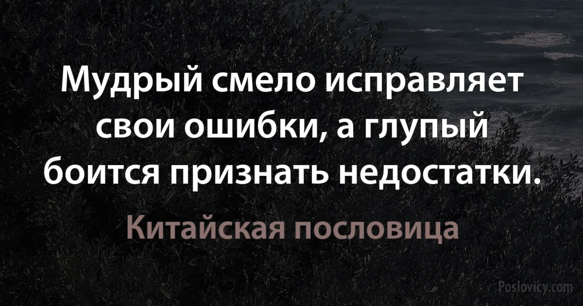 Мудрый смело исправляет свои ошибки, а глупый боится признать недостатки. (Китайская пословица)