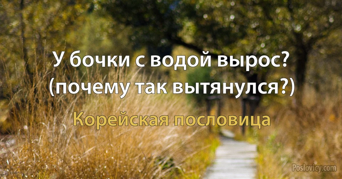 У бочки с водой вырос? (почему так вытянулся?) (Корейская пословица)