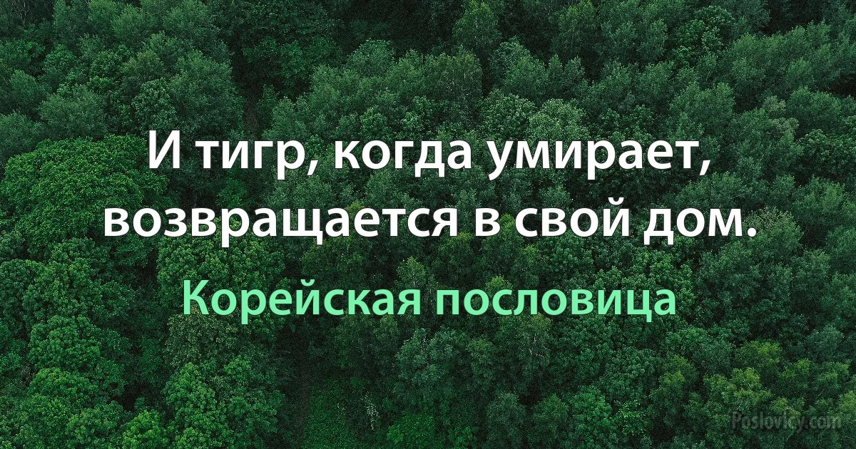 И тигр, когда умирает, возвращается в свой дом. (Корейская пословица)