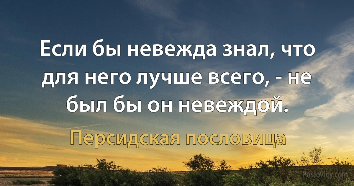 Если бы невежда знал, что для него лучше всего, - не был бы он невеждой. (Персидская пословица)