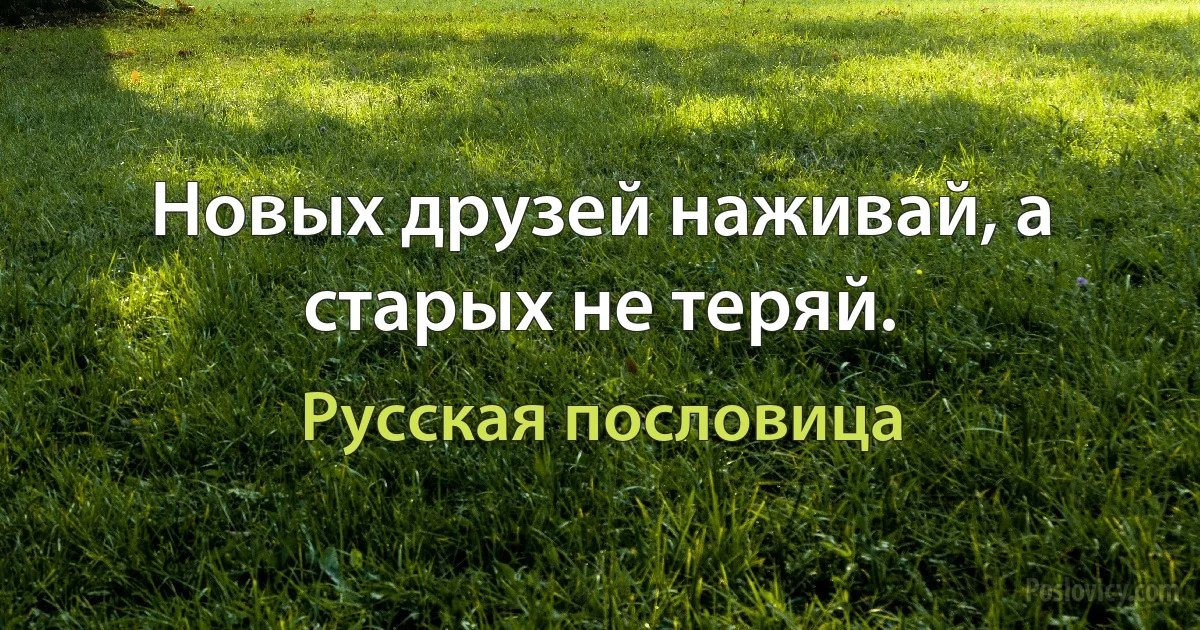 Новых друзей наживай, а старых не теряй. (Русская пословица)