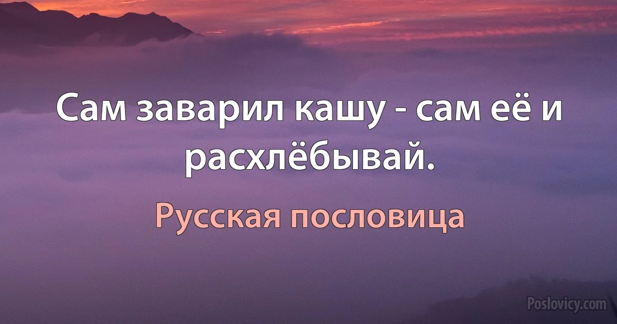 Сам заварил кашу - сам её и расхлёбывай. (Русская пословица)