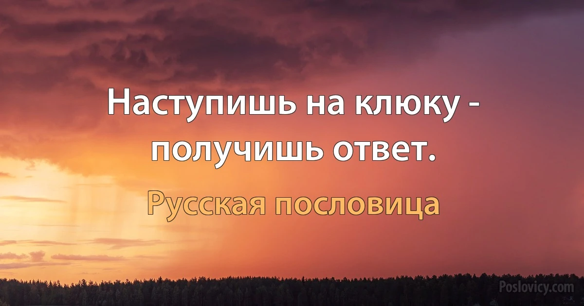 Наступишь на клюку - получишь ответ. (Русская пословица)