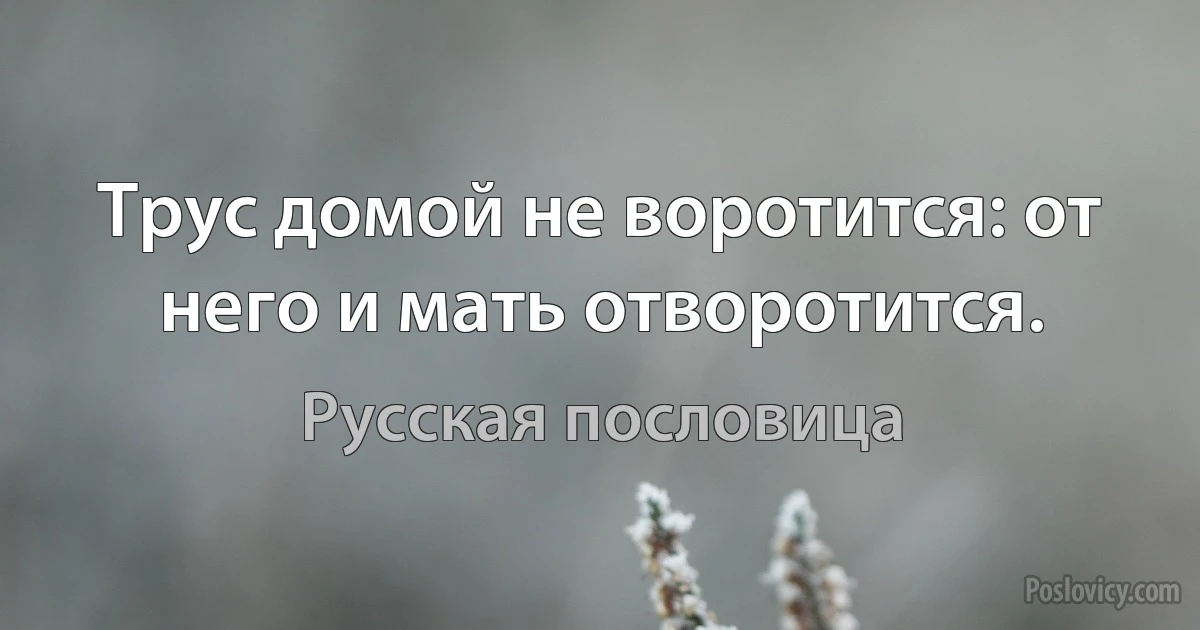 Трус домой не воротится: от него и мать отворотится. (Русская пословица)